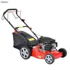 CORTA RELVA GASOLINA S/TR